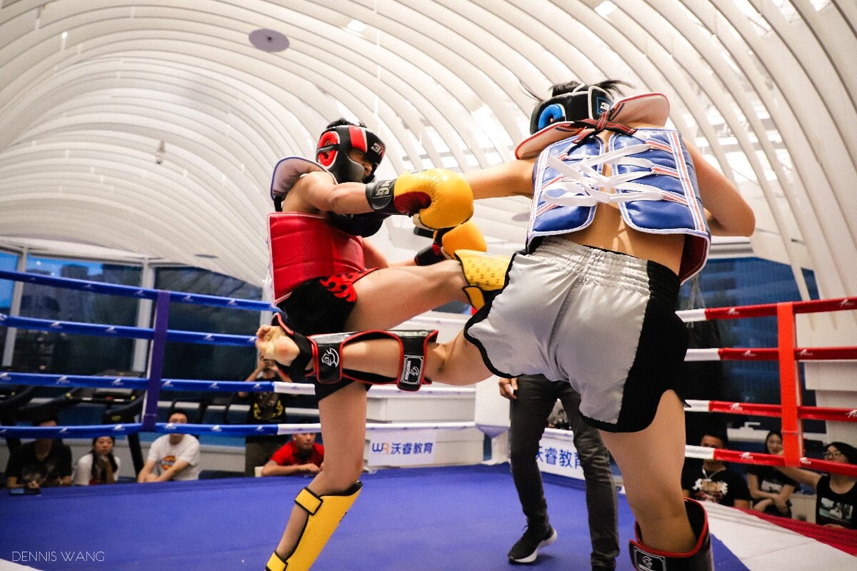 热血搏击，巅峰赛场上激情飞扬的简单介绍