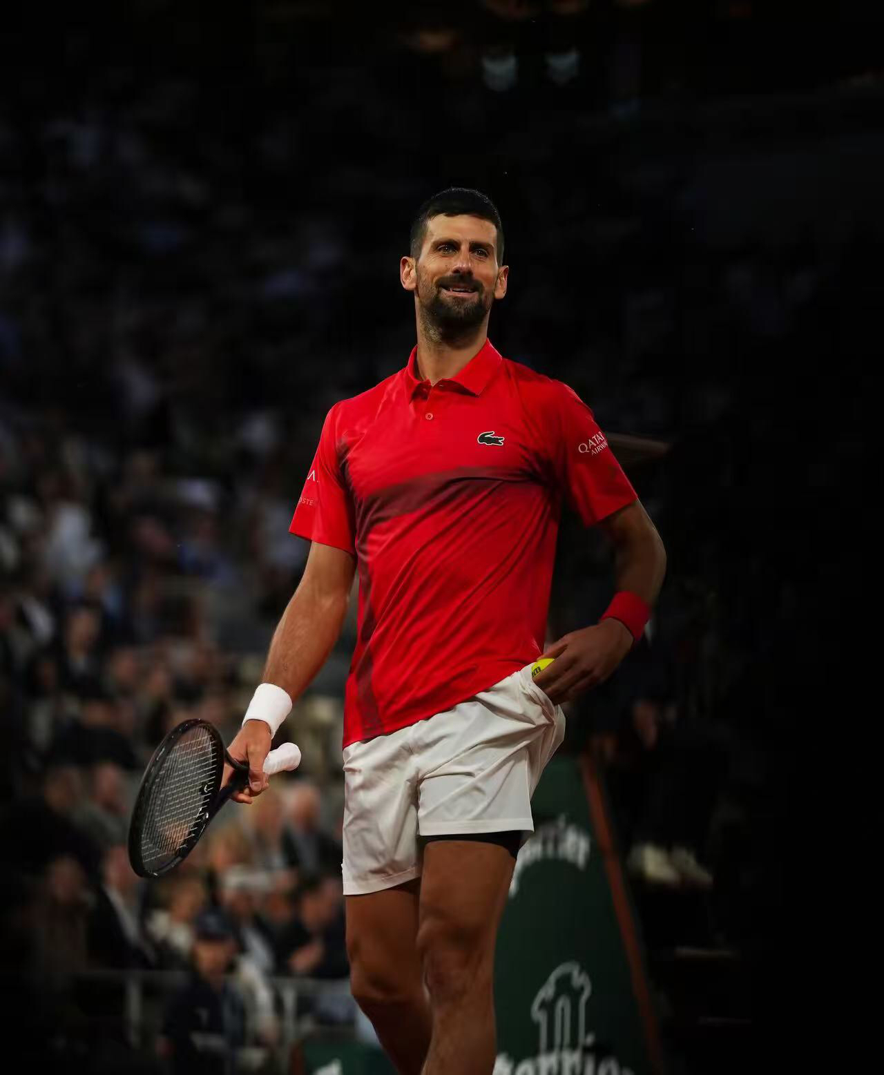 联合杯鏖战法网，德约科维奇惊艳四座的简单介绍