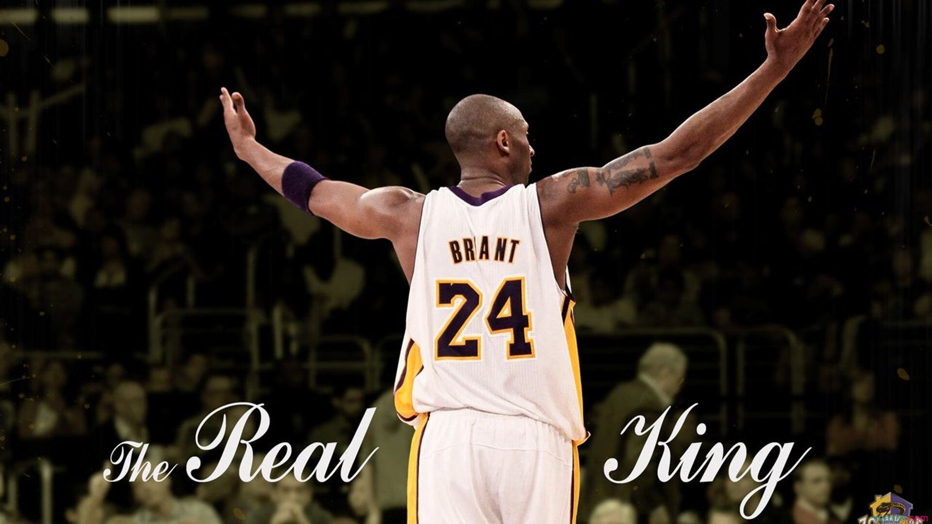 冰火交锋，韩国队险胜瑞典队，王皓刷新纪录书写传奇